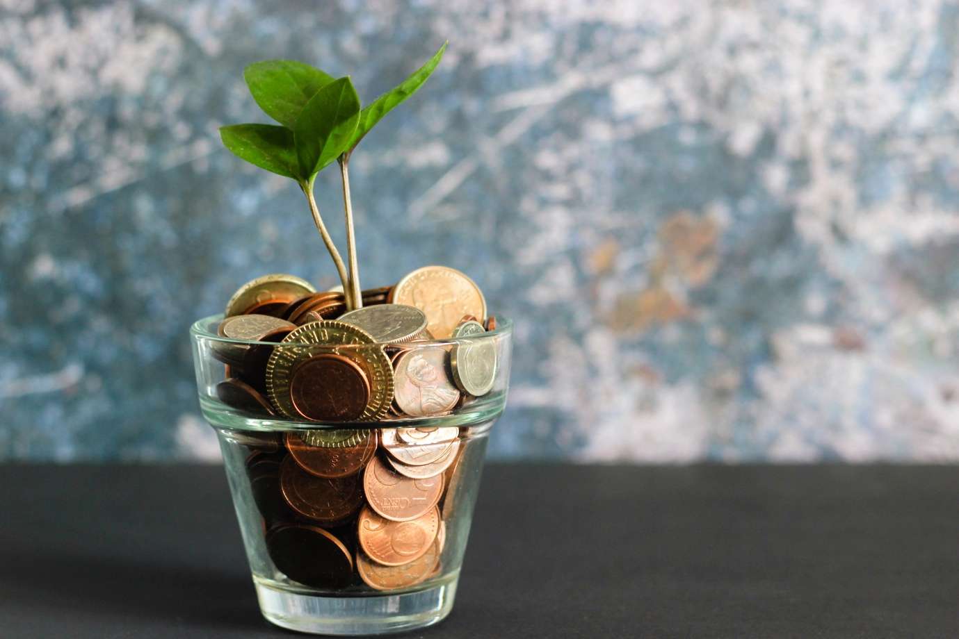 A plant growing from a glass cup of coins Description automatically generated